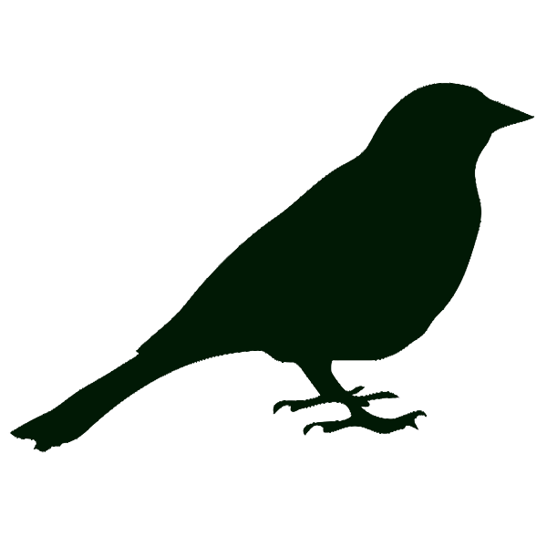 exoticbirds logo